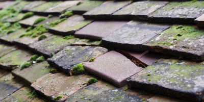 Bedford roof repair costs